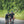 Deux cyclistes sur route