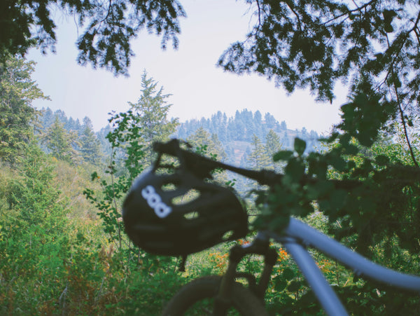 vtt sous les arbres