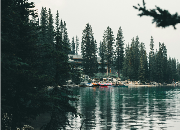 lac nature et plan d'eau